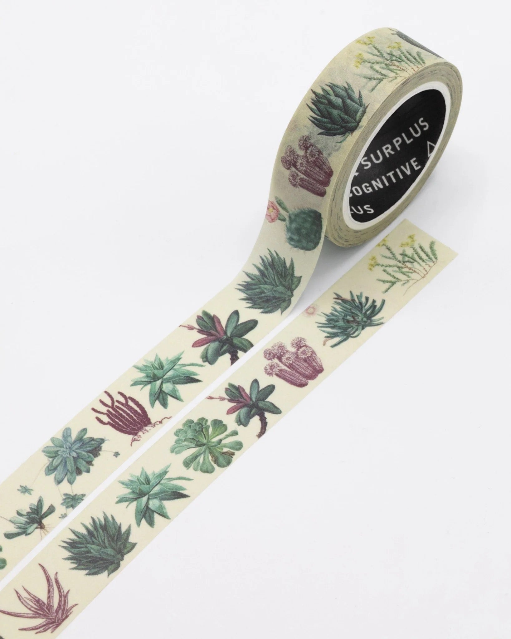 Washi tape succulents