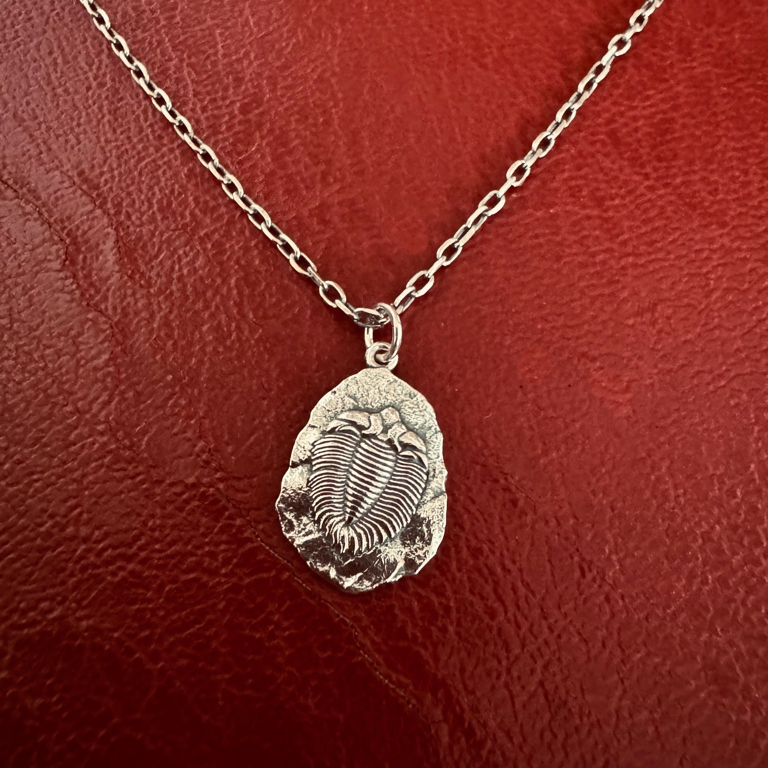 Silver necklace trilobite